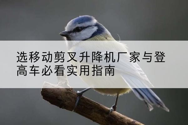 昭觉电动升降机厂家-选移动剪叉升降机厂家与登高车必看实用指南