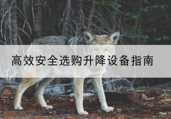 昭觉升降货梯厂家推荐-*安全选购升降设备指南