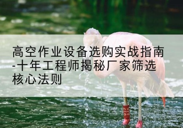 昭觉剪叉式升降机厂家-高空作业设备选购实战指南-十年工程师揭秘厂家筛选核心法则